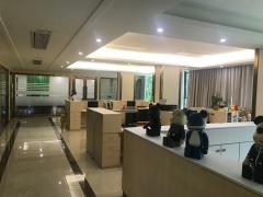 湛江网络科技 盈动立足本土，智启未来新篇章